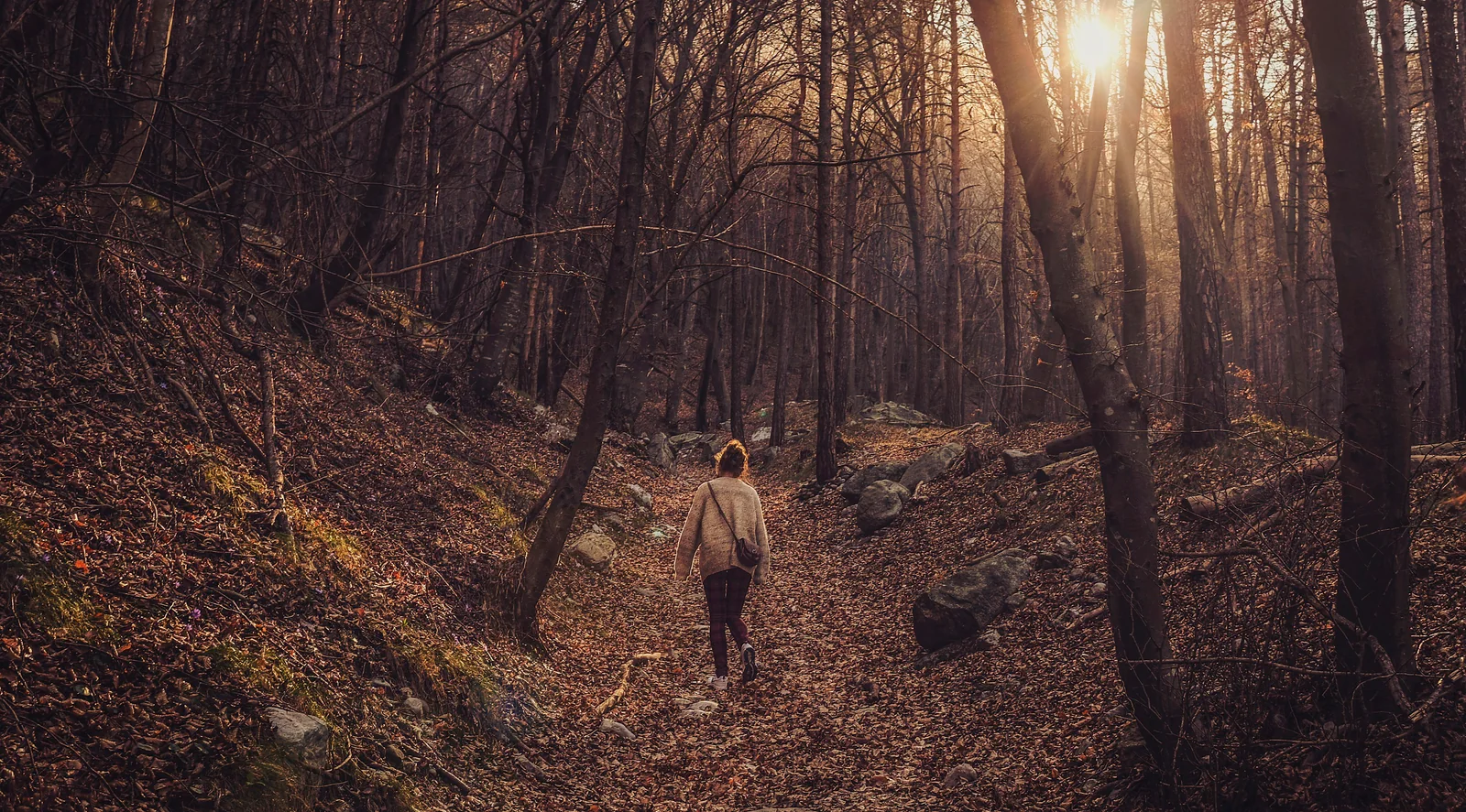 A person walks along a wooded path in warm afternoon light.